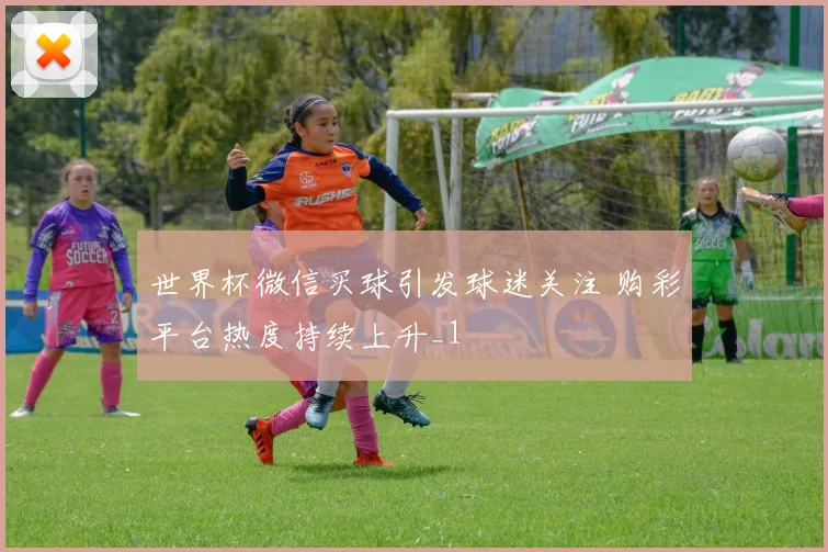 世界杯微信买球引发球迷关注 购彩平台热度持续上升_1