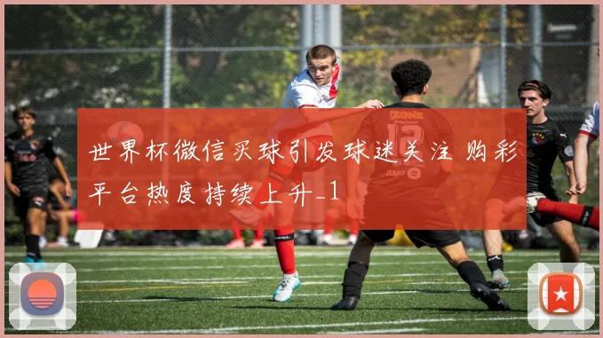 世界杯微信买球引发球迷关注 购彩平台热度持续上升_1