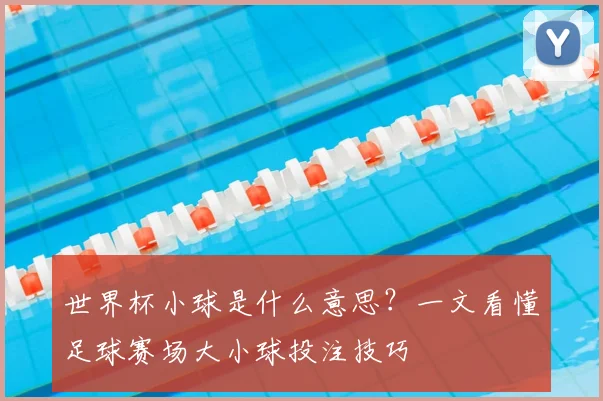 世界杯小球是什么意思？一文看懂足球赛场大小球投注技巧