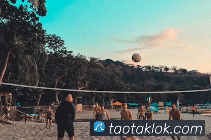 世界杯官方网络平台服务体系